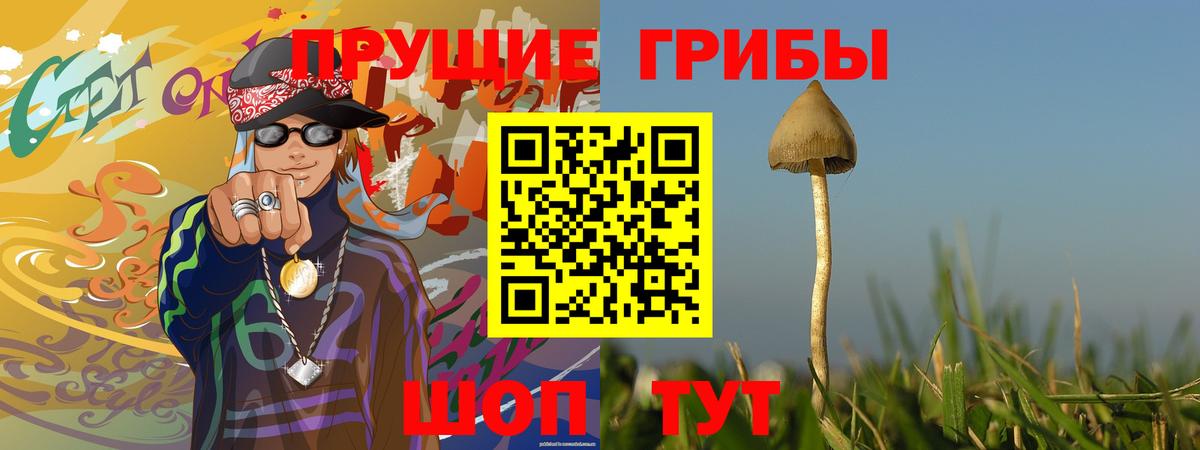 Галлюциногенные грибы GOLDEN TEACHER Кирово-Чепецк